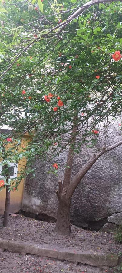 Il Giardino Nascosto Hotel Naples Exterior photo