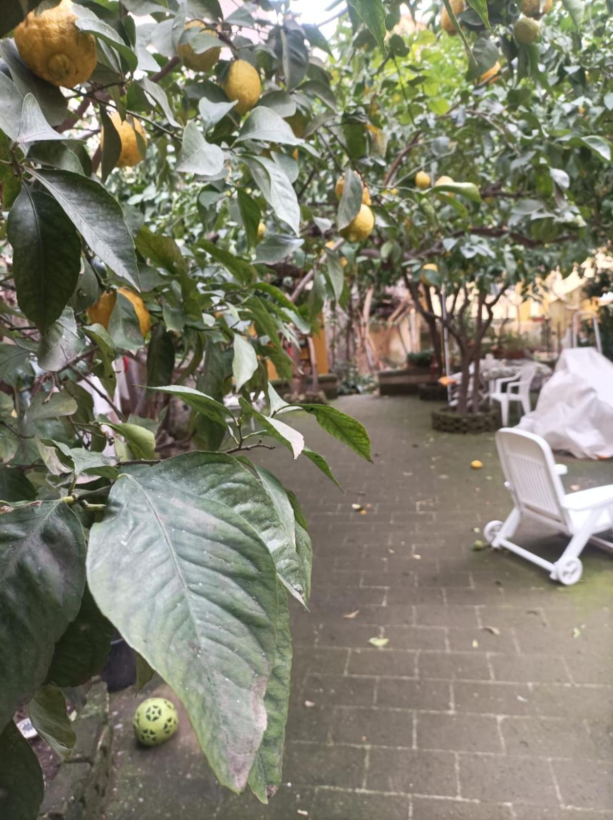 Il Giardino Nascosto Hotel Naples Exterior photo